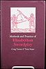 Meth n Practice Elizabethan Sword by TurnerSoper tn